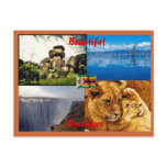 Beautiful Zimbabwe Postcard