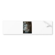 BEAUTY AND THE BEAST BUMPER STICKER