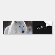 BEAUTY BUMPER STICKERS