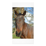 Beauty Cards photo cards