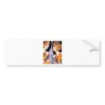 beauty chat bumper stickers