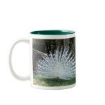 Beauty comes in all colours mug