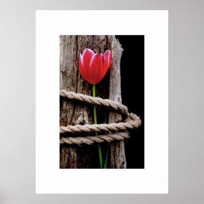 Beauty Held Hostage Poster by inked29