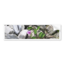 Beauty in all forms!!! bumper stickers
