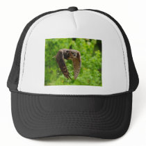 Beauty in flight mesh hat