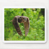 Beauty in flight mouse pads
