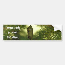 Beauty in LIfe Bumper Stickers
