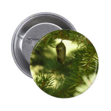 Beauty in LIfe Pins