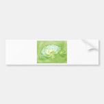 BEAUTY IN THE MIST - LIME BUMPER STICKERS