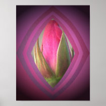 Beauty in the Shadows Print
