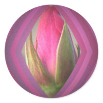 Beauty in the Shadows Round Sticker
