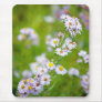 Beauty Line Mousepad