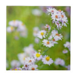 Beauty Line Tile