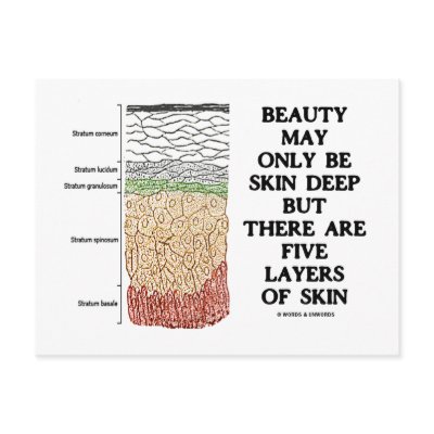 Beauty May Be Skin Deep But Five Layers Of Skin by wordsunwords