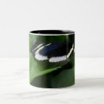 Beauty Of a Time Coffee Mug