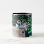 Beauty Of a Time Coffee Mug