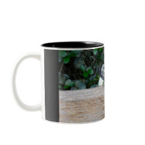 Beauty Of a Time Coffee Mug