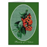 Beauty of Nature #C103 Card