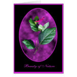 Beauty of Nature #C106 Greeting Card