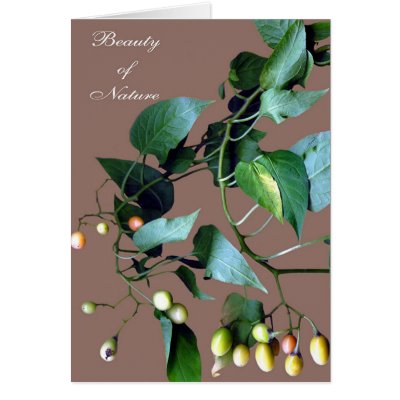 Beauty of Nature #C108 Greeting Cards by JOSEPHINEB3