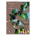 Beauty of Nature #C108 cards
