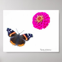 Beauty Of Nature Print