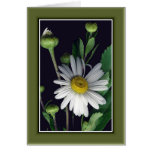 Beauty of Nature r/c12 Cards