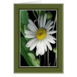 Beauty of Nature r/c17 Card
