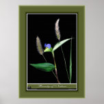 Beauty of Nature r/p06 Posters