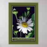 Beauty of Nature r/p12 Print