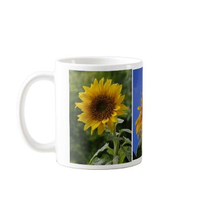 Beauty of Sunflowers Coffee Mugs by mombiz