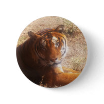 Beauty of the Beast Pinback Buttons