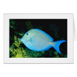Beauty of the Ocean Card-All Occasion