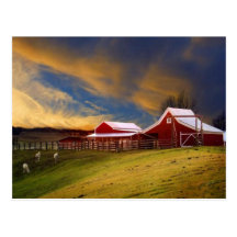 Beauty on the Farm Postcard