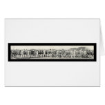 Beauty Parade Seal Bch Photo 1917 Greeting Cards