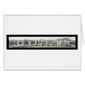 Beauty Parade Seal Bch Photo 1917 cards