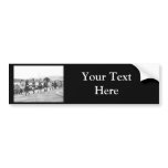 Beauty Show Glamour Girls Vintage 1922 Bumper Sticker