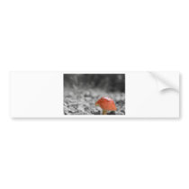 Beauty Shroom Bumper Stickers
