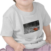 Beauty Shroom Tees