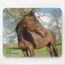 Beauty the Rescue Horse Mousepads
