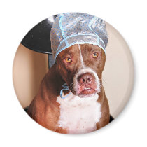 Beauty treatment magnet