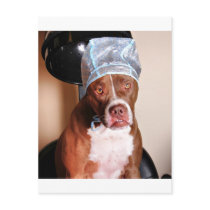 Beauty treatment post cards