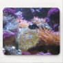 Beauty Underwater