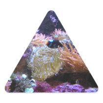 Beauty Underwater