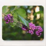 Beautyberry - Verbena Berry with Dew mousepads