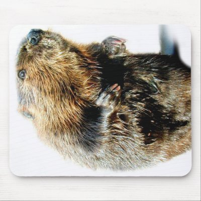 BEAVER ANIMAL TALKING MOUSE PADS by Sofia_Youshi