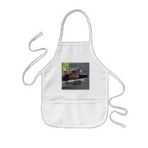 beaver aprons