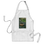 Beaver Aprons