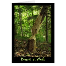 Beaver at Work Card