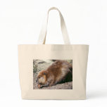 Beaver bags